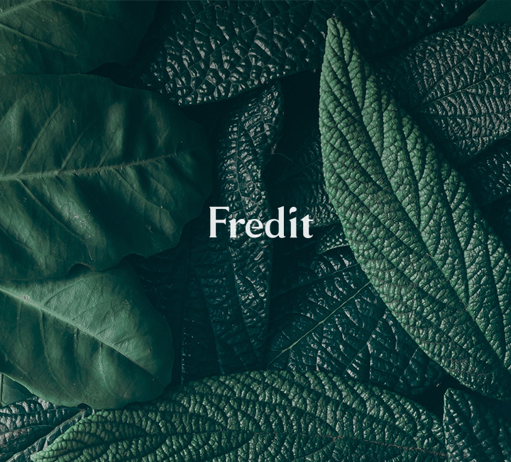 HY Fredit Shopping Platform